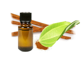Cinnamon Bark Essential Oil