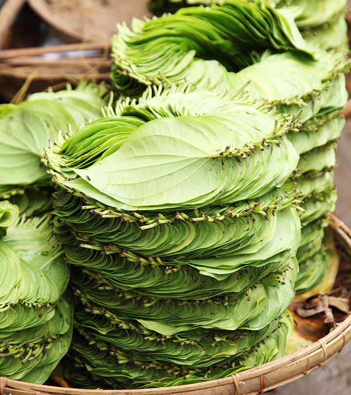 Betel Leaves Extract